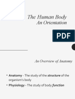 The Human Body: An Orientation