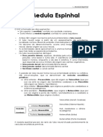 Neuroanatomia - Rita Luz PDF