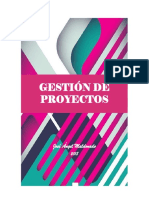 Gestion de Proyectos