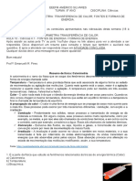 Ativ 06 - Calorimetria-Fonte de Energia 9° Ano