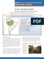 Amazon River Basin