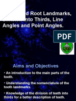 Crown and Root Landmarks, Division Into Thirds, Line Angles and Point Angles