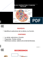 Semana 6 Estructura y Funcion Celular