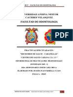 Informe Final Intenado 2019 2