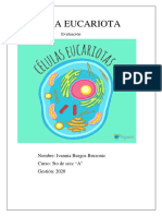 Célula Eucariota PDF