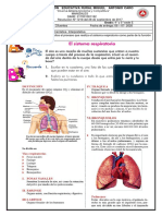 Ciencias Naturales, Sistema Respiratorio 1