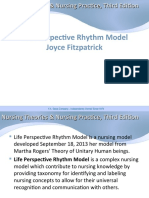 Life Perspective Rhythm Model Joyce Fitzpatrick