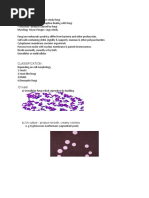 Mycology Intro Notes