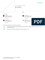 Kokogianetal1999Capt15GeologaArgentina PDF