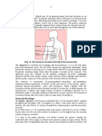 The Stomach: Second Phase of Digestion, Following Mastication in The Mouth (Chewing) - It Secretes