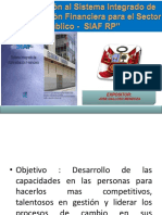 Siaf PDF