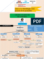 Sem 14 - 4to - Morfologia