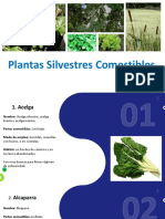 Plantas Comestibles PDF