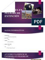 Animales en Peligro de Extinción