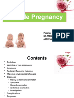 Multiple Pregnancy 1