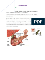 Litiasis Vesicular