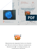 Mecanismos de Respuesta Frente A La Infección Por Botrytis Cinerea en Tomate - Estudio de Glucanasas y Tratamientos Inductores