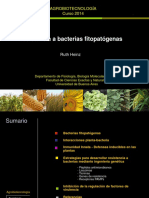 Resistencia A Bacterias Fitopatógenas PDF