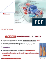 Apoptosis, GENERAL PATHOLOGY