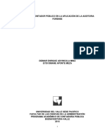 El Rol Del Contador Público en La Aplicación de La Auditoria Forense