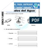 Ficha de Estados Del Agua para Segundo de Primaria