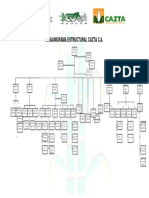 Organigrama Actual - Cazta PDF