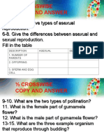 Crosswise Copy and Answer