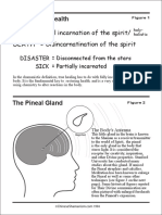 Health Death Full Incarnation of The Spirit/ Disincarnatination of The Spirit