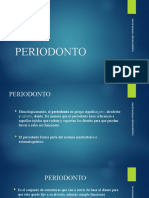 Anatomia Del Periodonto