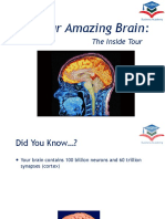 VBA Your Amazing Brain