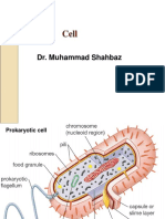 Cell