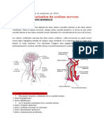 10-Vascularisation Arterelle Du Cerveau PDF