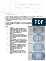 Cell Division