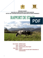 Rapport Bovins Et Cultures Fourragères (Ouahid) PDF