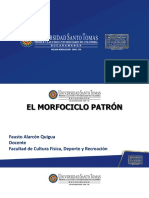 Morfociclo Patron