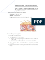 Adult Nursing 2020/ Integumentary System Assist Lect /shelan Qahraman Skin