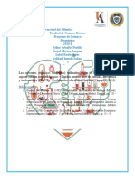 Informe 3