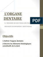 2-L'organe Dentaire