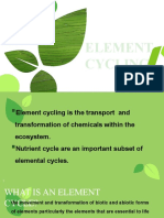 Element Cycling