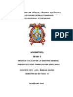 ARPI CAHUA Ramiro Royer (Trabajo de Tesis II) - IX Semestre