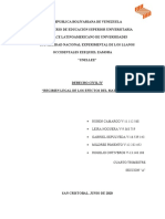 Regimen Legal de Los Efectos Del Matrimonio