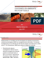 Molycopcursomoliendaminerales 181025014843 PDF