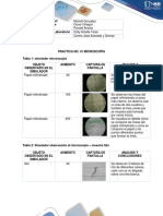 Entrega Informe Practicas Biologia