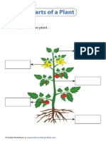 Label Plant PDF