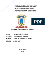 Informe 2 Tripas Naturales