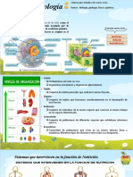 Semana 7. Primero Biologia