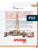 BROCHURE - INSPECCIÓN DE EQUIPOS DE PERFORACIÓN - Rev.0 - GRUPO APLESCOM PDF