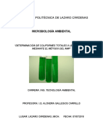 Práctica 1 - Determinación de Coliformes - Microbiología Ambiental