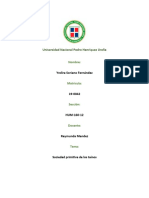 La Sociedad Primitiva de Los Taínos