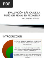 Evaluación Básica de La Función Renal en Pediatría